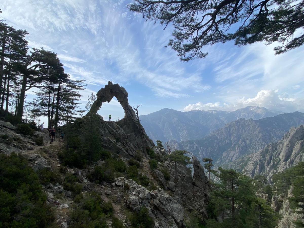 Les Terrasses De Panate Corte (Corsica)